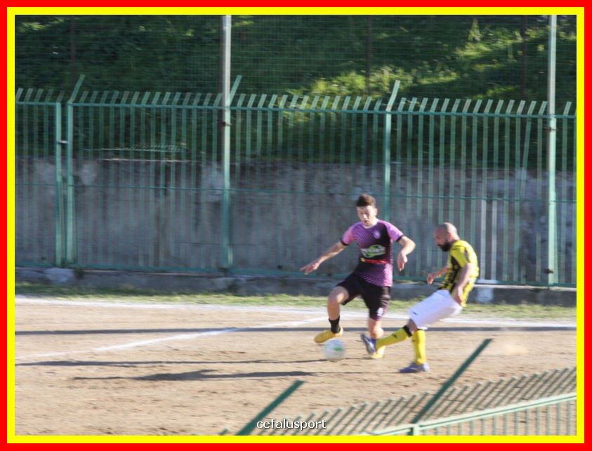 190310 Cephal_Torrenov 135_tn.jpg